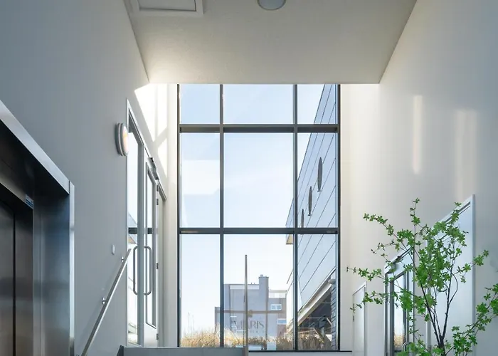 Maris 海边的艾格蒙特